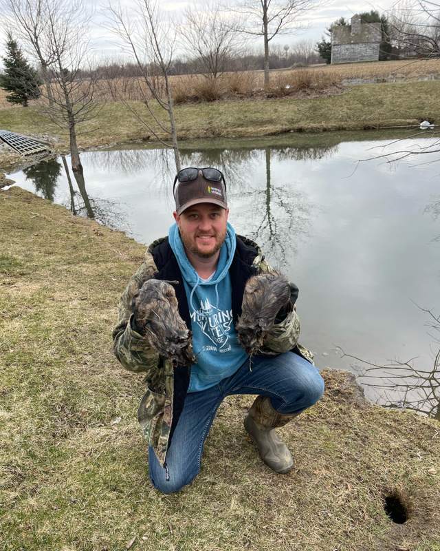 Dave Faxel with two muskrats trapped with 110 Conibears