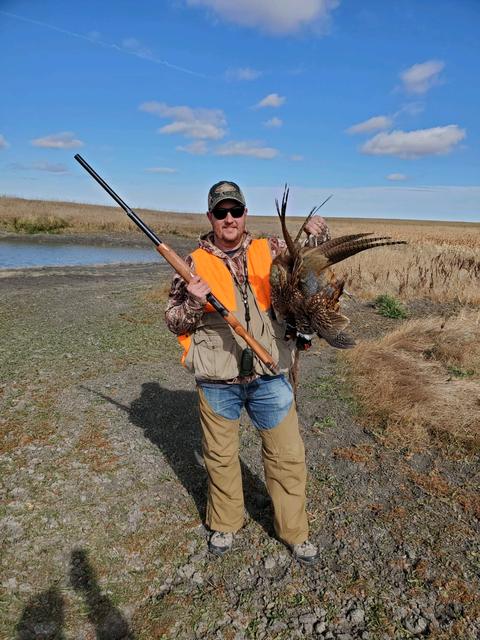 Dave in blaze orange holding a limit of rooster pheasants