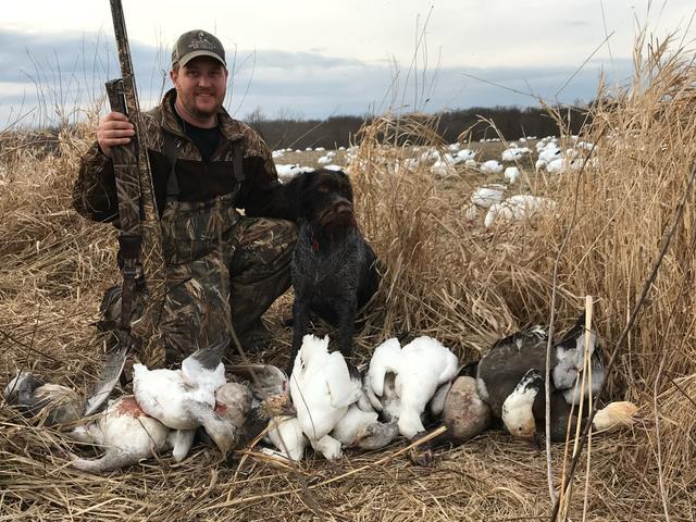 Dave with his dog and a pile of snow geese among decoys