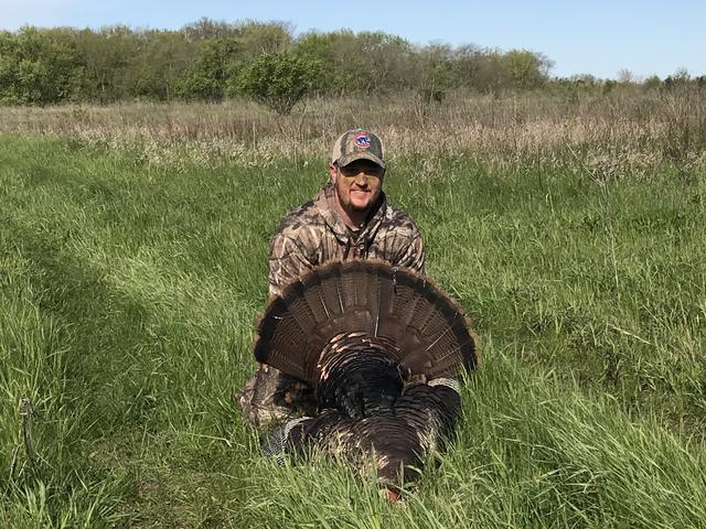 Dave kneeling in green grass behind a fanned turkey
