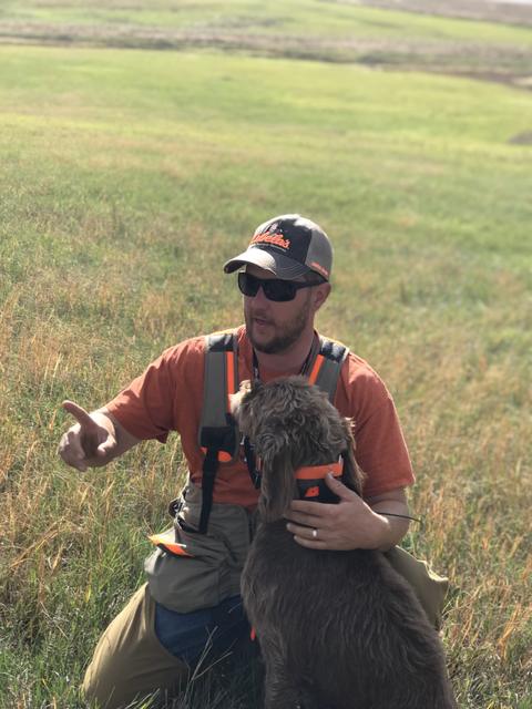 Dave pointing out a line to his dog in a green field